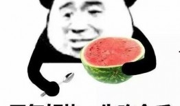 呆瓜带你吃瓜,一起吃瓜畅游