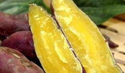 鱼饵软件怎么吃瓜,轻松吃瓜，畅享娱乐新体验