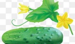 惜花花全集吃瓜,宫廷秘史中的宫廷八卦与宫廷美食