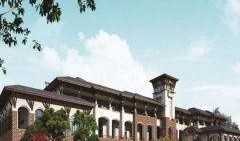 东湖高新吃瓜,揭秘“吃瓜群众”背后的科技力量