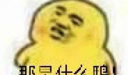 吃瓜表情咋回复,吃瓜表情背后的社交心理学解析