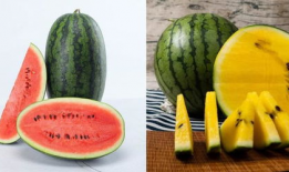 吃瓜毅思,揭秘娱乐圈背后的真相与内幕