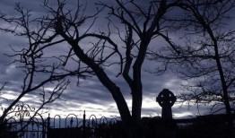 小说坟前吃瓜,揭秘尘封往事的惊悚悬疑之旅