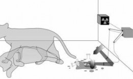 薛定谔的有事吃瓜,薛定谔的猫与吃瓜群众的哲学思考