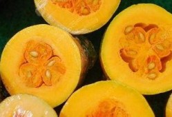 蓝瓜感冒吃吗,适宜食用还是禁忌？