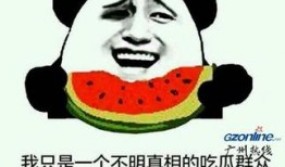 吃瓜群众这是啥,网络热词背后的社会现象