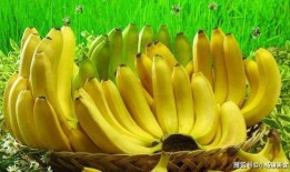 香蕉瓜如何吃,香蕉瓜的多重美味吃法探索