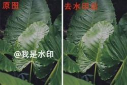 吃瓜图片水印怎么去掉