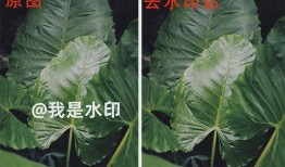 吃瓜图片水印怎么去掉