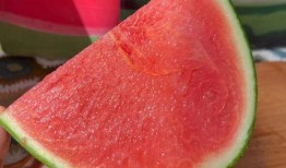 吃瓜网我爱吃瓜,带你领略网络吃瓜文化的魅力