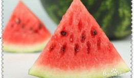 吃各种水果瓜视频,跟随视频探索各种美味瓜果之旅