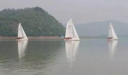 吃瓜船视角,揭秘娱乐圈幕后风云