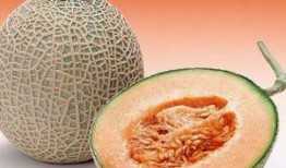 吃哈密瓜气喘,揭秘过敏源与饮食健康