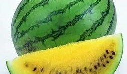 趴窗台上吃瓜,揭秘趴窗台吃瓜的独特魅力