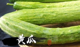 藤瓜直接吃吗,营养美味两不误