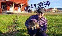 718吃瓜社区,网络舆论场中的“瓜田”盛景