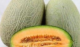 吃哈密瓜脸会,揭秘吃哈密瓜脸的秘密