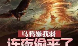 吃瓜危机小说推荐,揭秘网络世界的暗流涌动