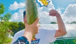 吃瓜群众 岱,揭秘背后的故事与真相