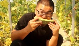 帅 丽 吃瓜,揭秘娱乐圈幕后故事