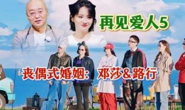 再见爱人吃瓜,揭秘娱乐圈的甜蜜瓜田