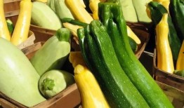 凌源有什么瓜吃,探寻当地美味瓜果之旅