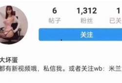 可以吃杨一凡瓜的网址,揭秘美味瓜果的神秘网址