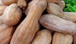 家里的方瓜怎么吃,解锁家常方瓜的多重美味