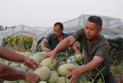 吃瓜宜兴徐某,宜兴徐某事件始末