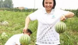 榆林吃瓜群众,揭秘当地独特饮食文化