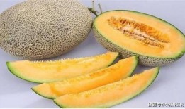 姨妈第四天可以吃哈密瓜,哈密瓜助力健康恢复”