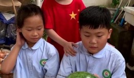 Time吃瓜,揭秘娱乐圈吃瓜背后的真相与内幕