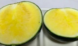 河北铺吃瓜么,揭秘吃瓜群众的欢乐盛宴