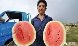 大强吃瓜,揭秘娱乐圈幕后真相