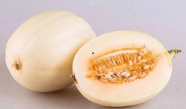 惠州男子吃瓜视频,揭秘瓜农生活日常