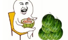 带你吃瓜是什么,带你领略“吃瓜群众”的趣味与智慧