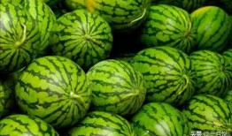 吃瓜买瓜新鲜的瓜小品