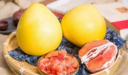 柚 吃瓜,探寻夏日消暑美食的奥秘