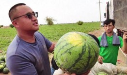 秦文龙吃瓜现场,揭秘娱乐圈幕后风云