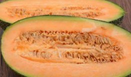 河边吃哈密瓜视频,共享哈密瓜的美味与欢乐