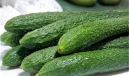 瓜和什么混着吃,探索瓜与哪些食材的完美混搭