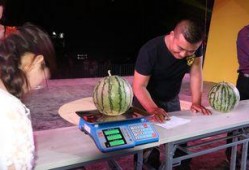 清河社区吃瓜,邻里琐事成热门话题