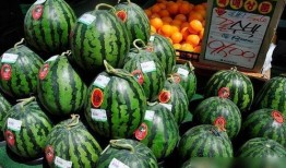 吃瓜买瓜新鲜的瓜小品