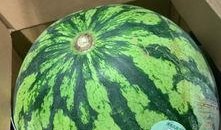 整个小区吃瓜,揭秘小区里的“吃瓜”现象