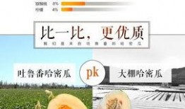 智博长清吃瓜,一场吃瓜盛宴背后的科技魅力