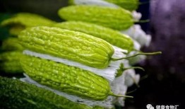 明月新城吃瓜,揭秘吃瓜群众的欢乐盛宴