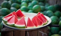 现在吃瓜要去哪个平台,2023年度热门吃瓜平台大盘点，哪个才是你的最佳选择？