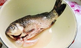 鲫瓜鱼怎样吃,鲫瓜鱼的多重美味吃法探索