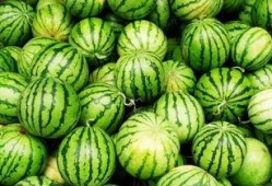 吃西瓜算吃瓜吗为什么,揭秘“吃瓜”一词的趣味内涵