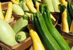 南宁体专吃瓜,揭秘校园吃瓜背后的故事